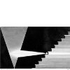 symbol 31 The Sensory Faculty of the Living Being and the Steps in Evolution
