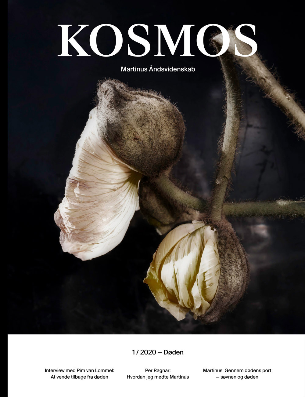 Forside Kosmos 2020-1