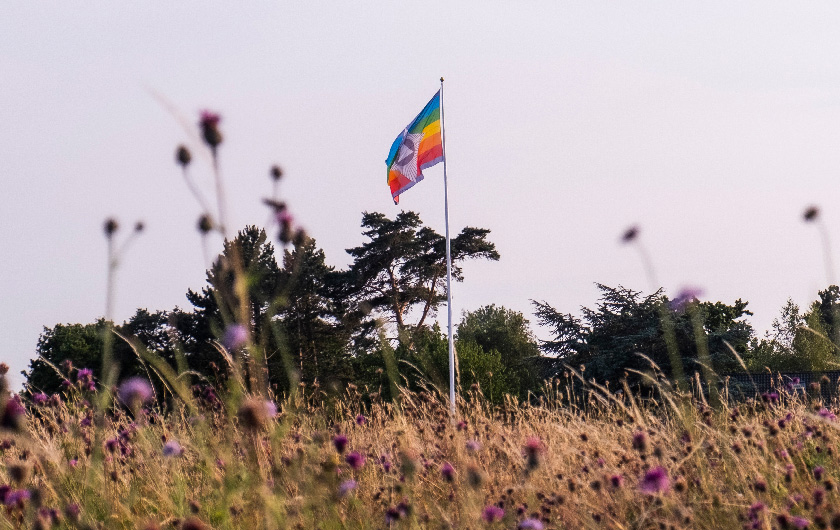 Sommerbillede fra Klint