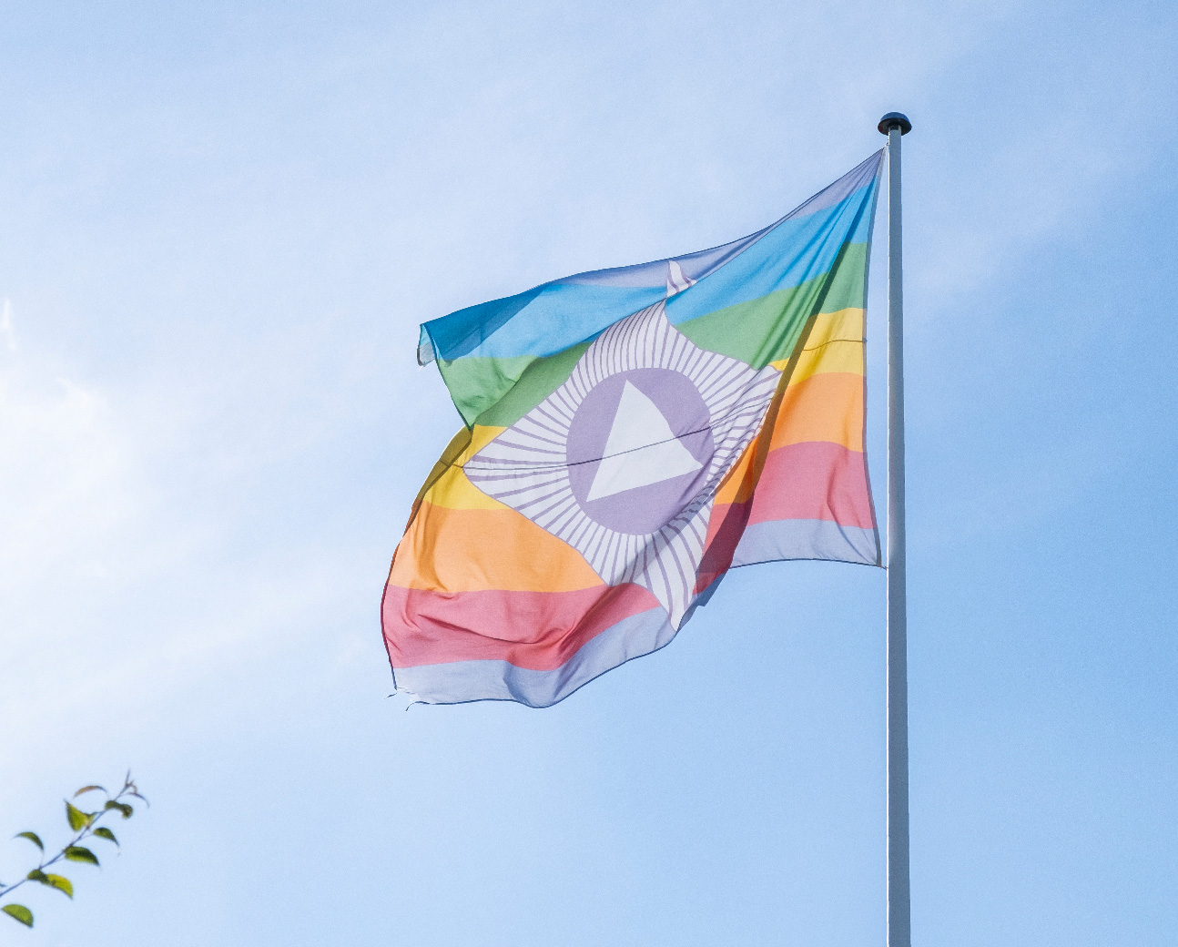 Sagens flag Sagens flag