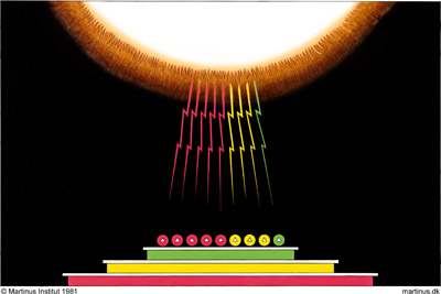 Symbol 87: Den menneskelige overtro om næsten. Solens kosmiske stråler, makrokosmisk livskraft