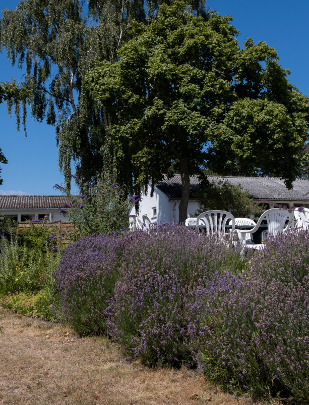 Martinus-Center-Klint-Sommer