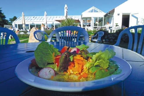 Martinus-center-klint-terassen-salat
