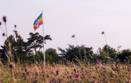 Flag på Martinus Center Klint