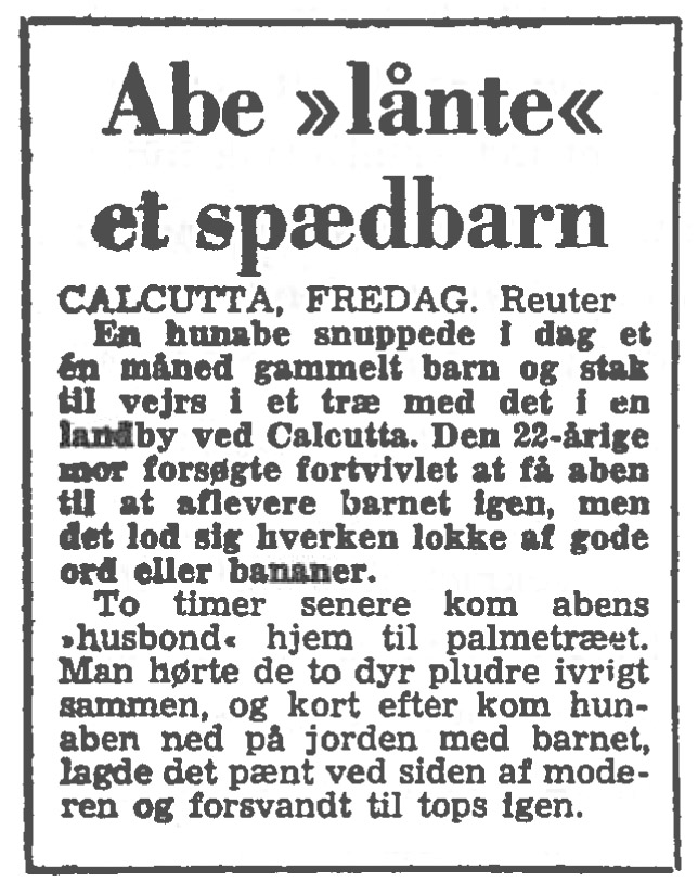 [Avisartikel:] Abe 'lånte' et spædbarn