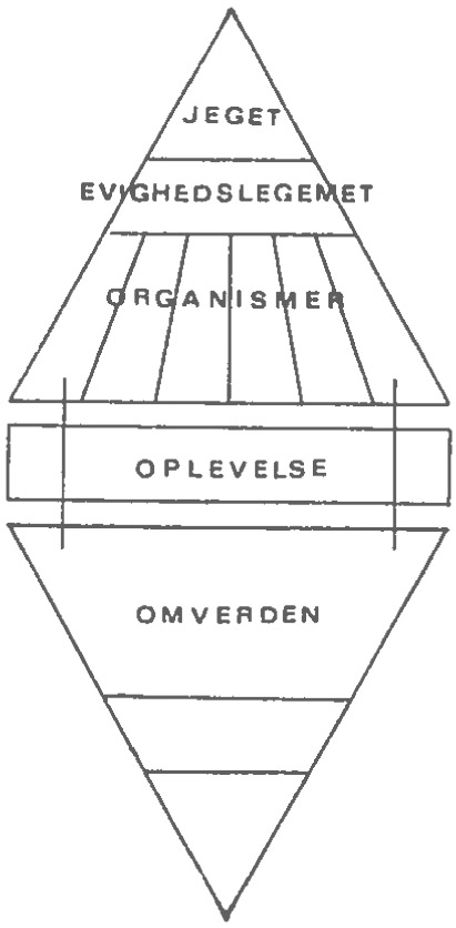 Jeget. Evighedslegemet. Organismer. Oplevelse. Omverden