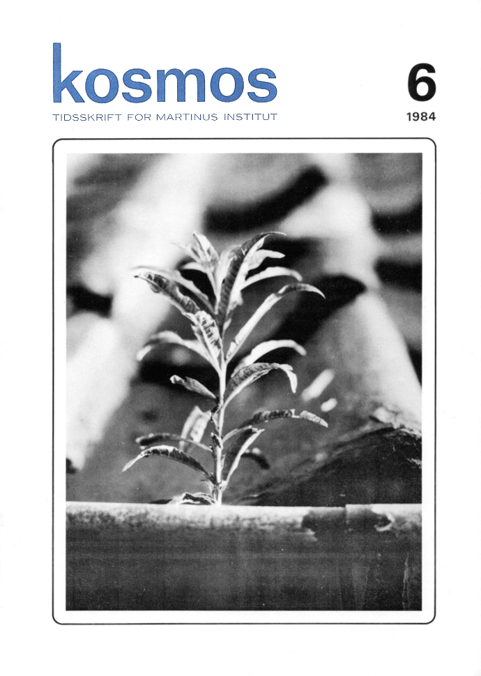 Forside