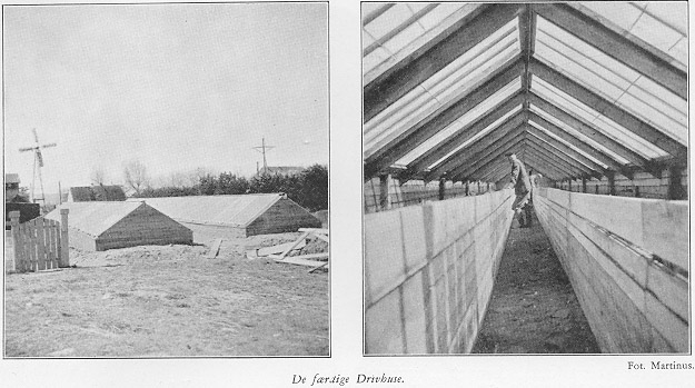 De færdige Drivhuse