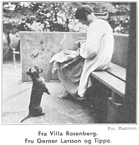 Fra Villa Rosenberg. Fru Gerner Larsson og Tippe. Fot. Martinus.