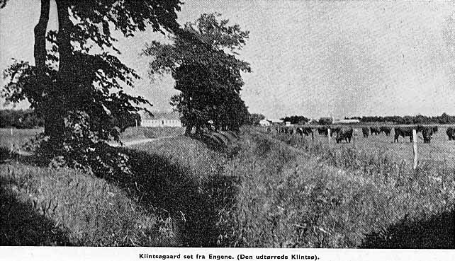 Klintsøgaard set fra Engene. (Den udtørrede Klintsø).