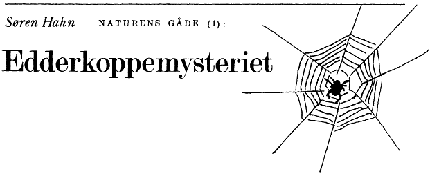 Søren Hahn. Naturens gåde (1): Edderkoppemysteriet