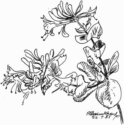 Poul Brinkhard 26-7-85