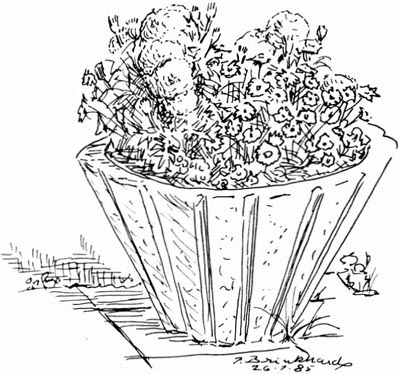 P. Brinkhard 26-1-85