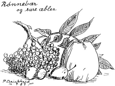 Rønnebær og sure æbler. P. Brinkhard 12-9-83