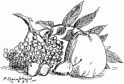 P. Brinkhard 12-9-83