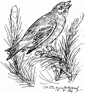 P. Brinkhard 14-4-86