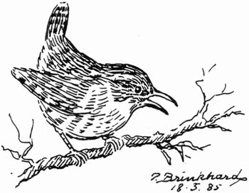 P. Brinkhard 18-5-85