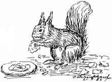 P. Brinkhard 21-9-85