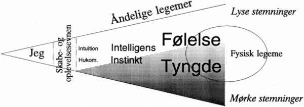 Jeg. Skabe- og oplevelsesevnen. Åndelige legemer. Intuition. Hukommelse. Intelligens. Instinkt. Følelse. Tyngde. Lyse stemninger. Fysisk legeme. Mørke stemninger.