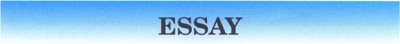 Essay