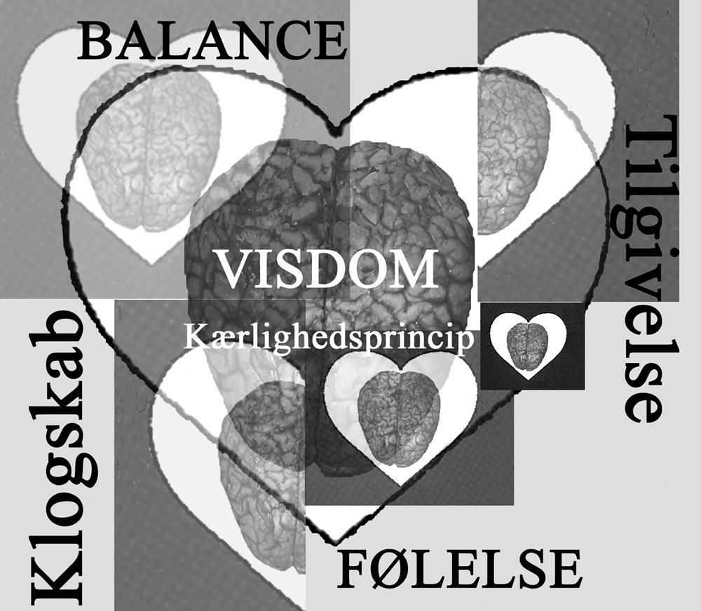 Visdom. Kærlighedsprincip. Balance. Tilgivelse. Klogskab. Følelse
