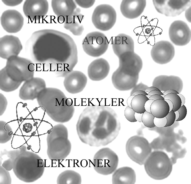 Mikroliv. Atomer. Celler. Molekyler. Elektroner