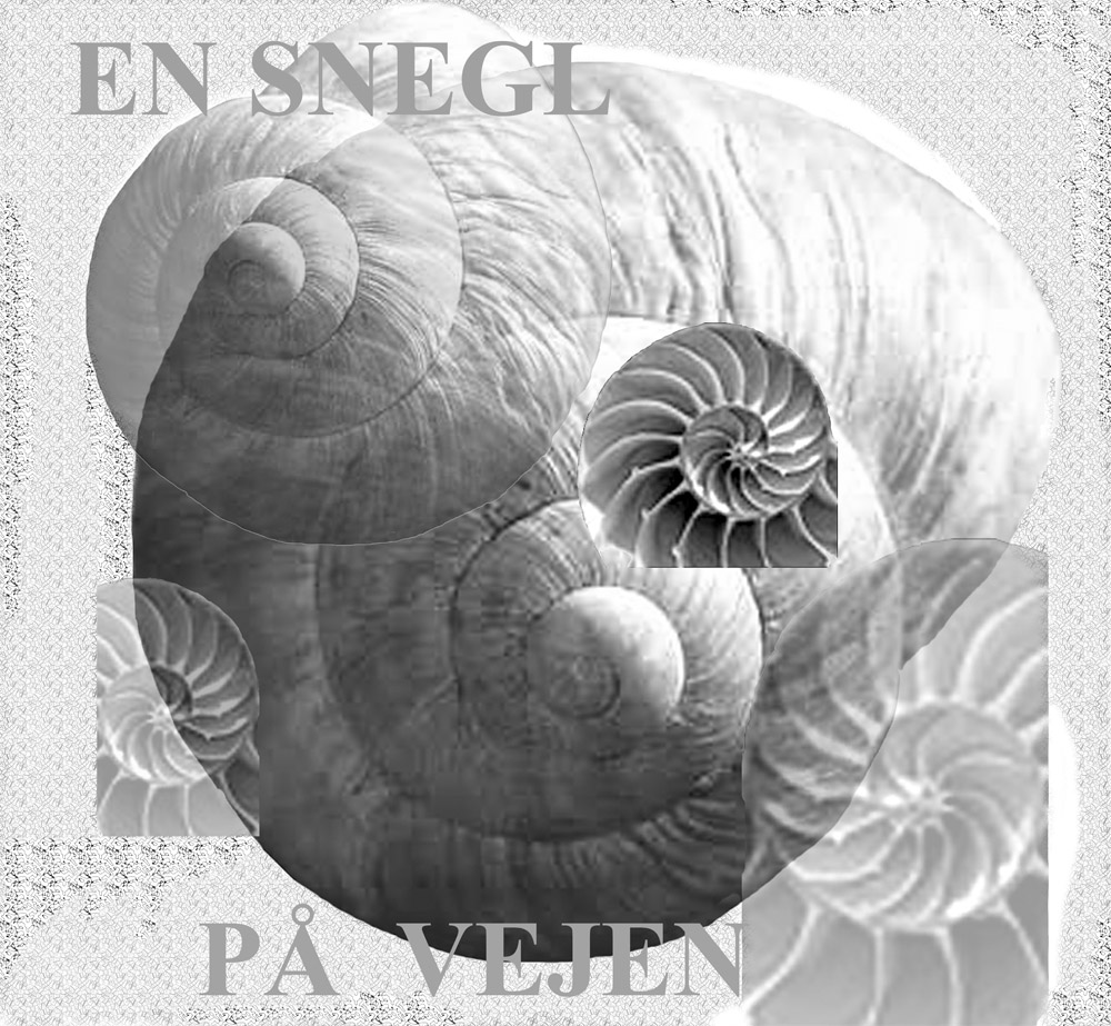En snegl på vejen