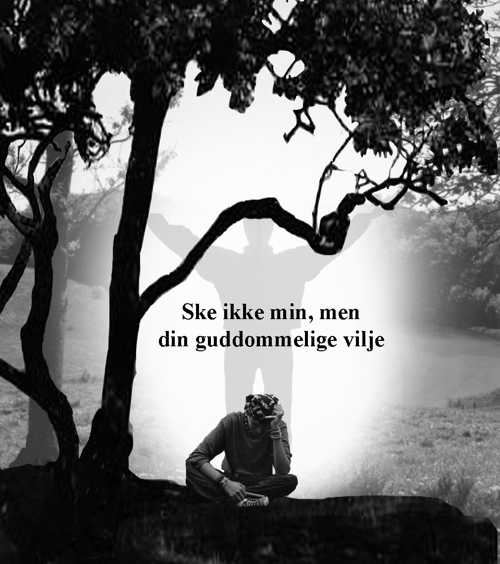 Ske ikke min, men din guddommelige vilje
