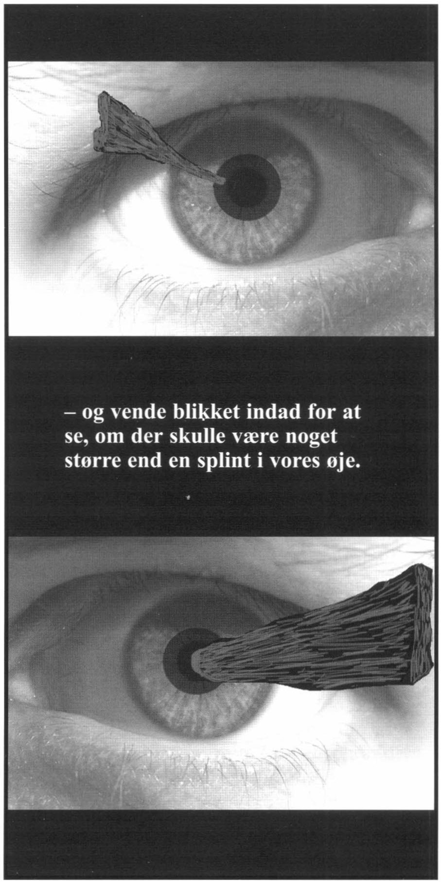 - og vende blikket indad for at se, om der skulle være ænoget større end en splint i vores øje