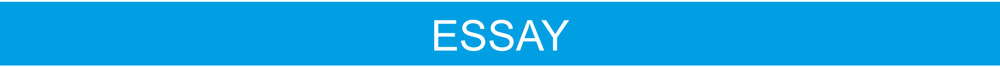 Essay