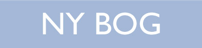 Ny bog