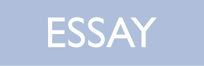 Essay
