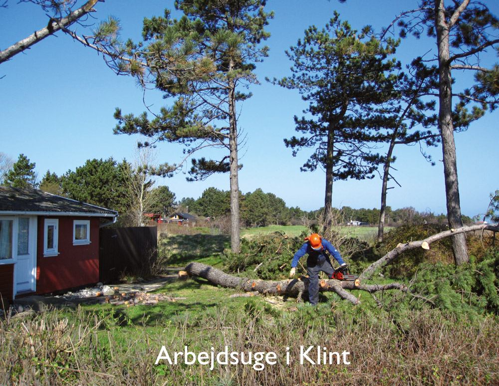 Arbejdsuge i Klint