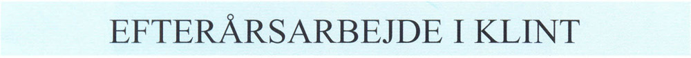 EFTERÅRSARBEJDE I KLINT