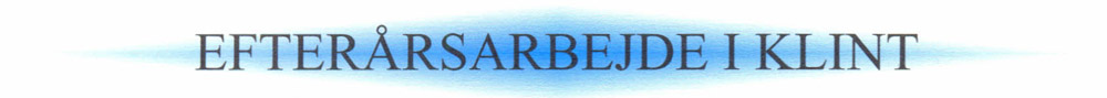 EFTERÅRSARBEJDE I KLINT