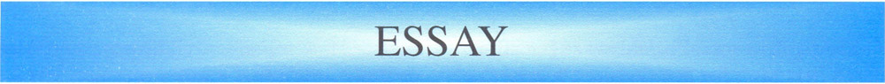 Essay