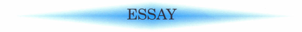 Essay