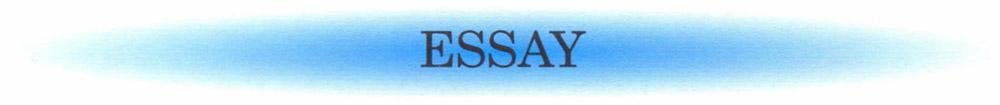 Essay