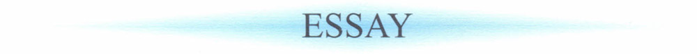 Essay