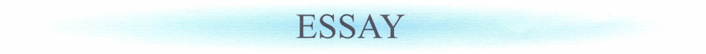 Essay