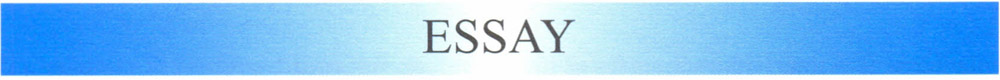 Essay