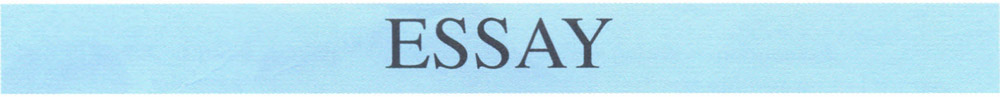Essay