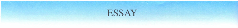 Essay