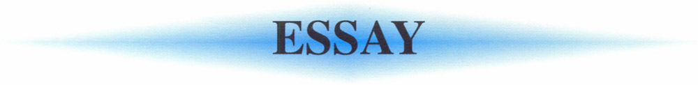 Essay