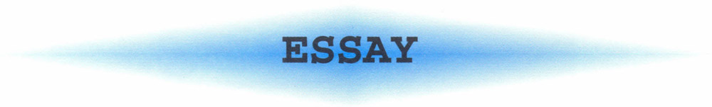 Essay