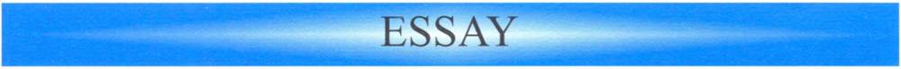 Essay