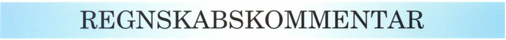 Regnskabskommentar