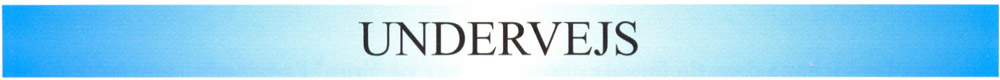 Undervejs