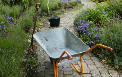 Frivillig på Martinus Center Klint