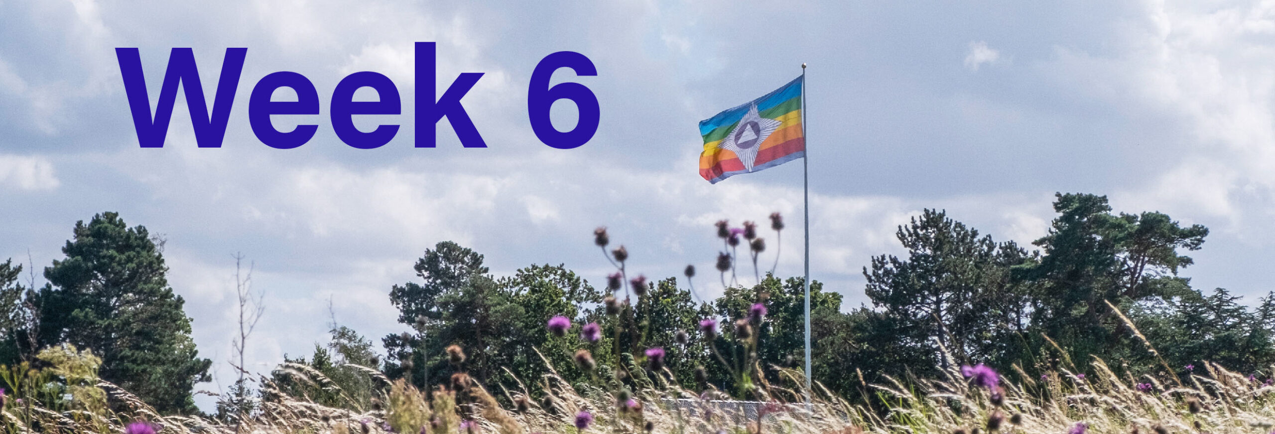 Summer_Week_6